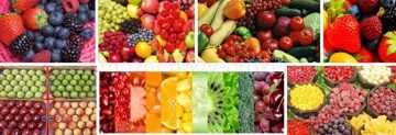 Растаможка овощей и фруктов оптом из европы Азии СНГ +7(499)397-8073